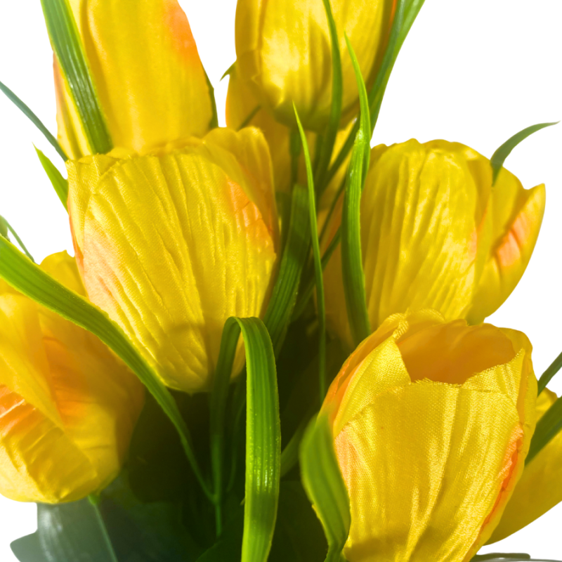 19" Tulip Bush - Yellow