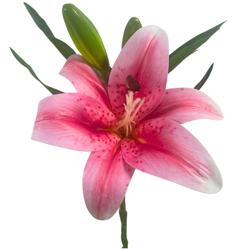 14" Casablanca Lily Stem - Pink