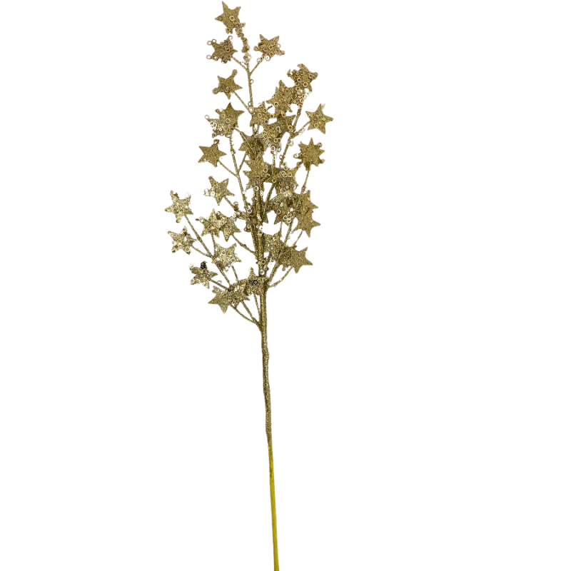 31" Stary Spray