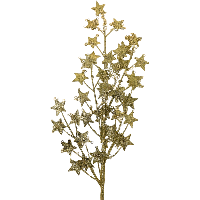 31" Stary Spray