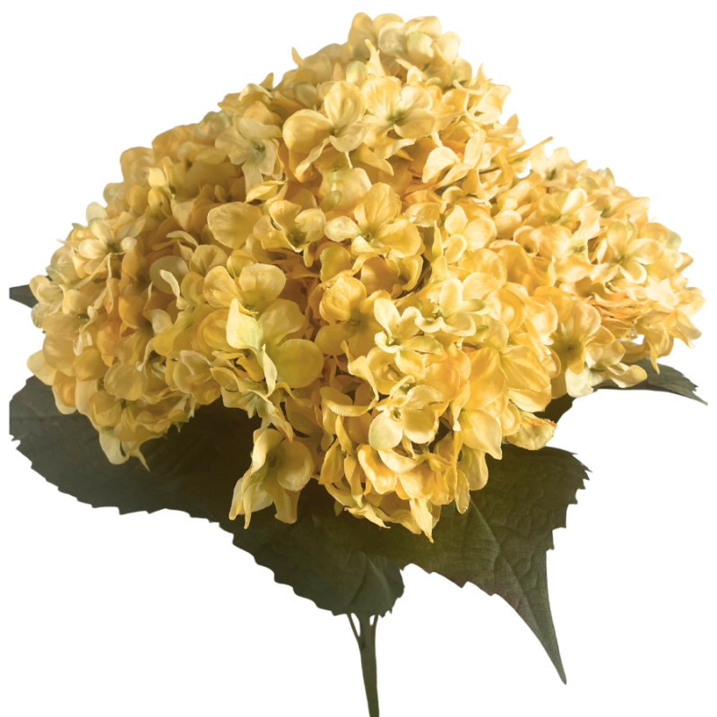 19" Faded Orange Hydrangea Bush