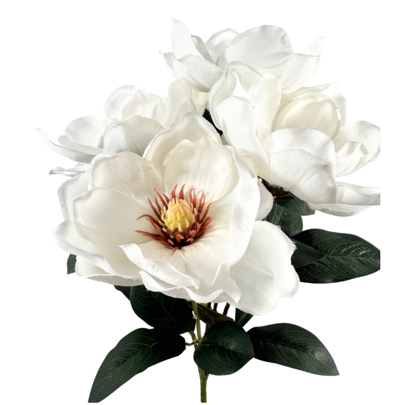 19" Magnolia Bush