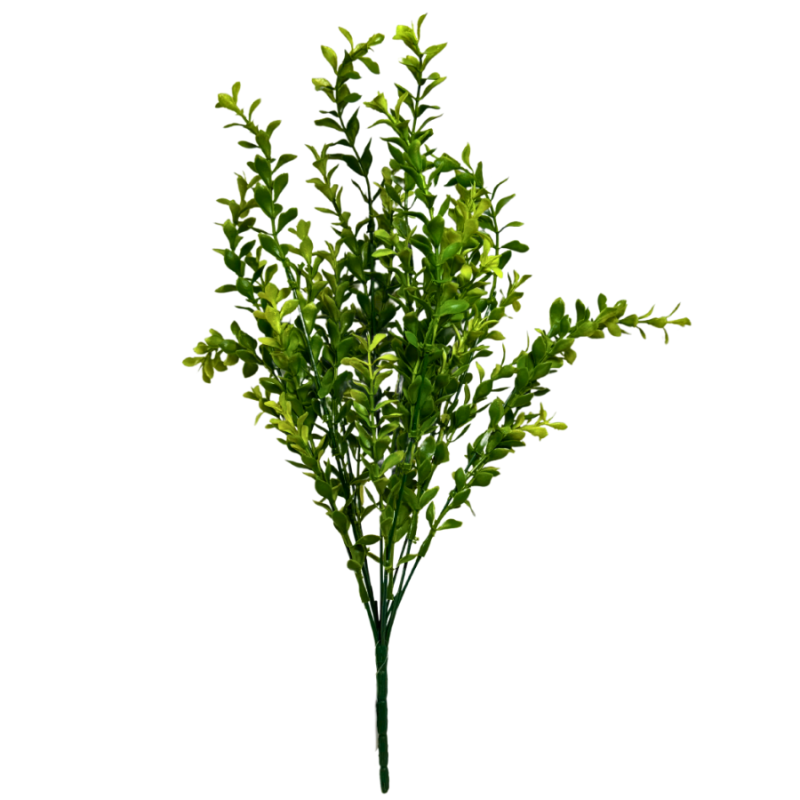 20" Boxwood Leaf Bush