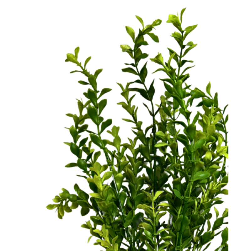 20" Boxwood Leaf Bush