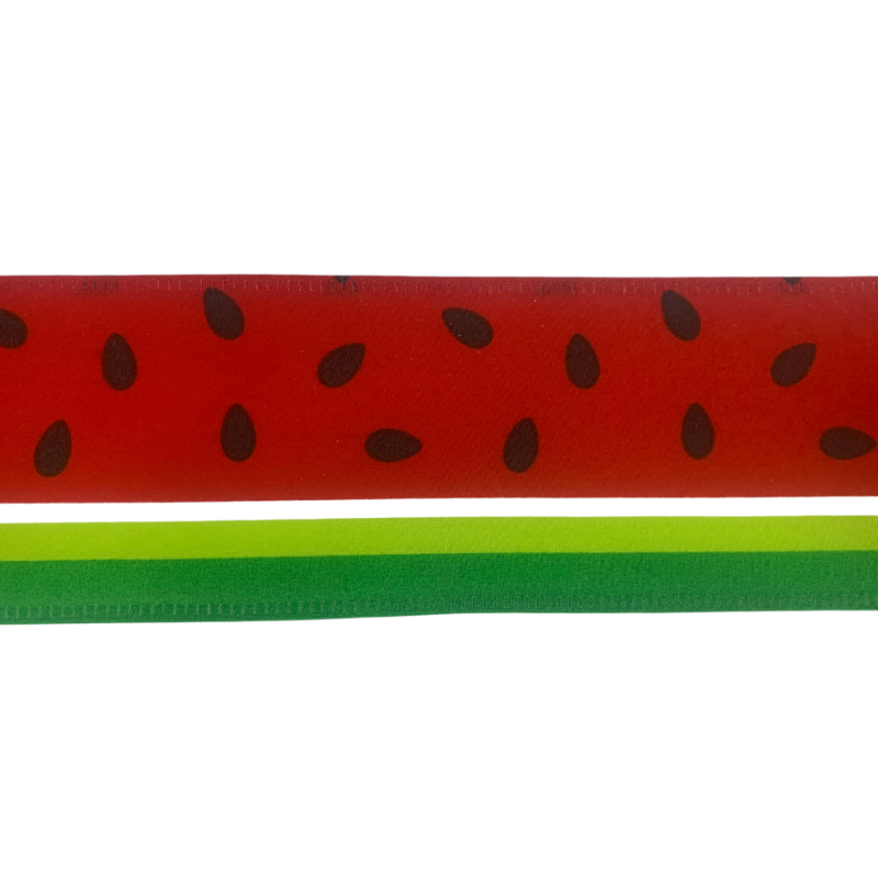 2.5" x 10yd Watermelon Rind Ribbon