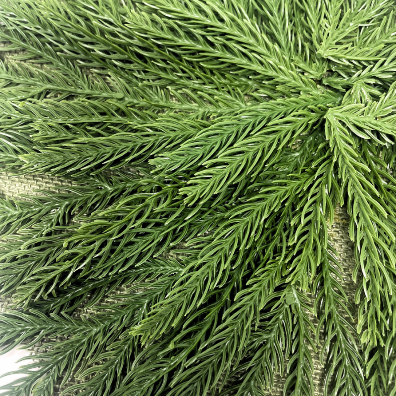 Soft-Touch Norfolk Pine Placeholder