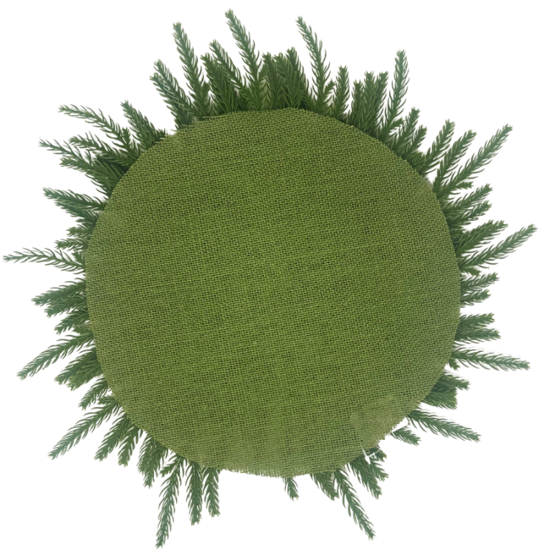 Soft-Touch Norfolk Pine Placeholder