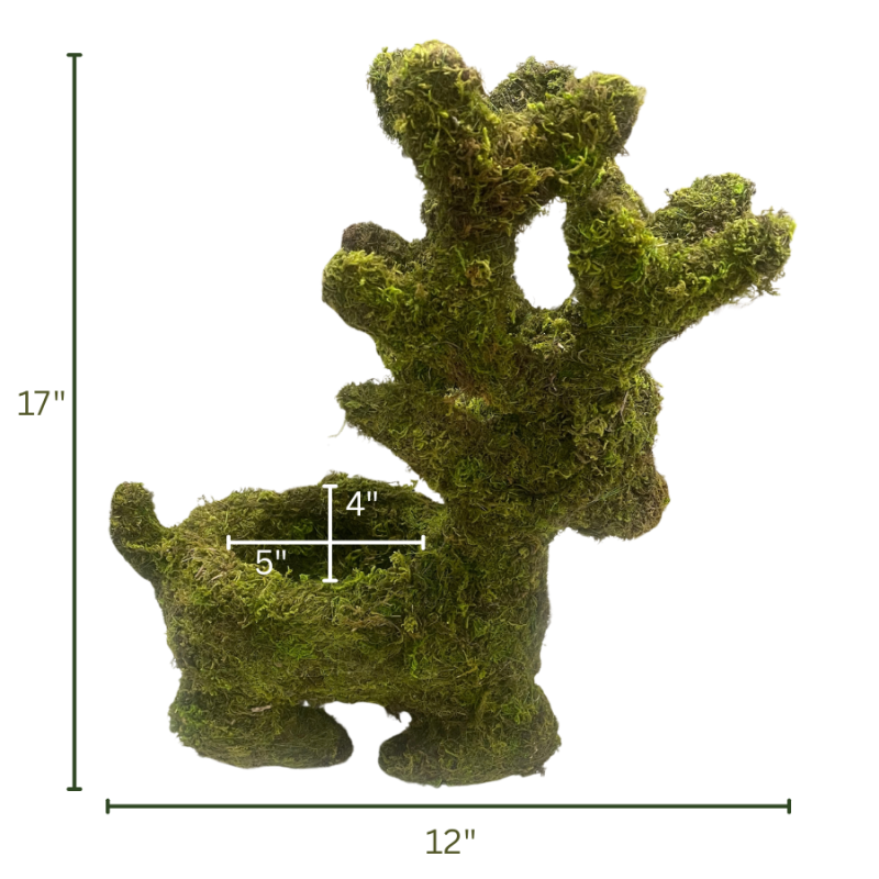 17" Sitting Reindeer Deco Moss Planter
