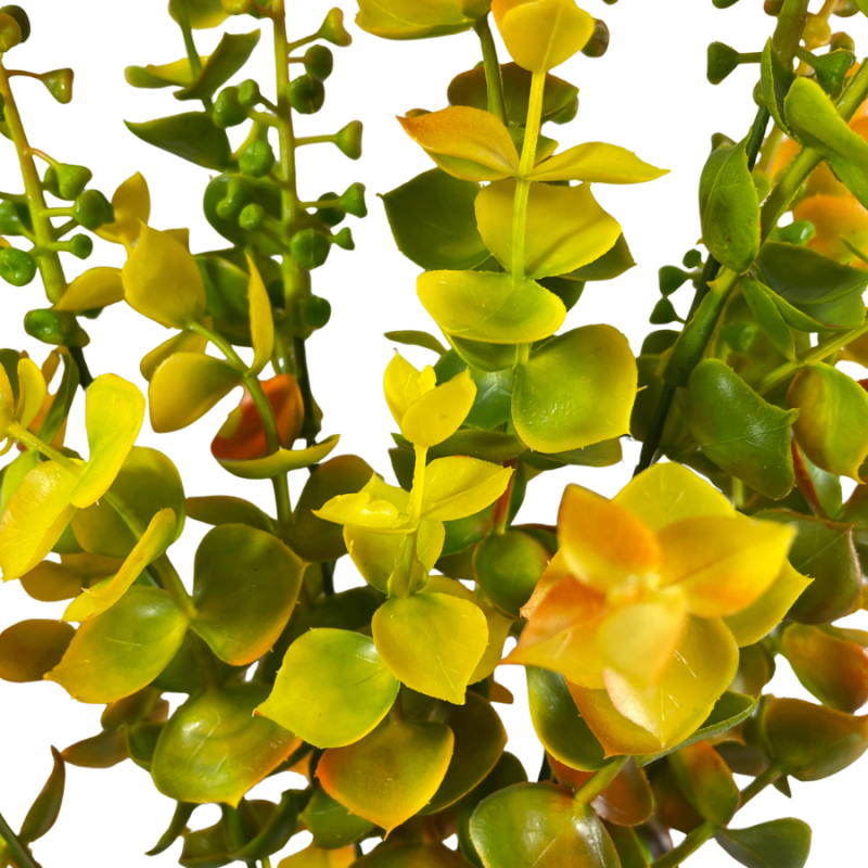 22" Fall Eucalyptus Bush