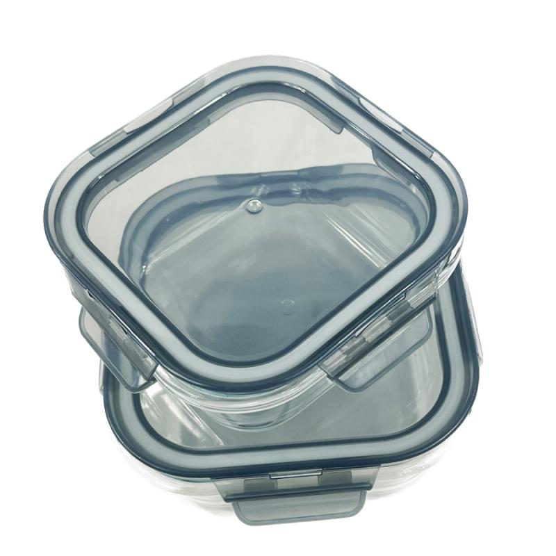 2 Piece Glass Food Storage