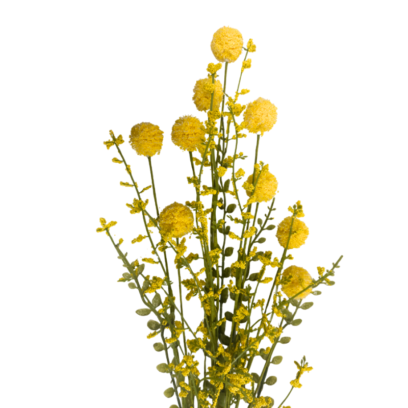 30" Snowball Alium Bush - Yellow