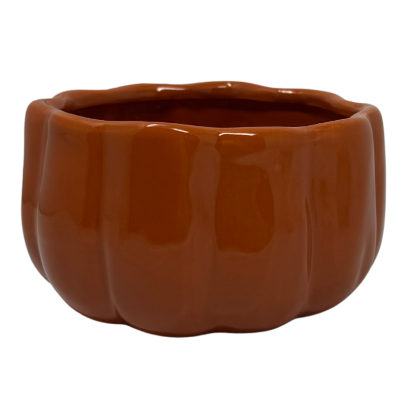 16oz Pumpkin Bowl- Orange