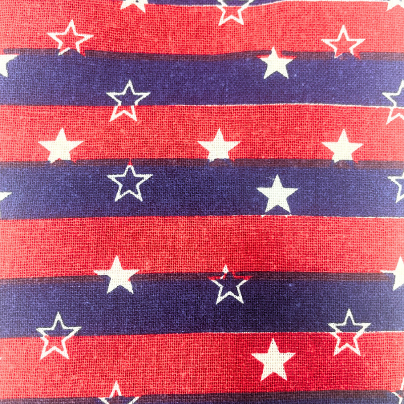 Stars & Stripes Oven Mitt