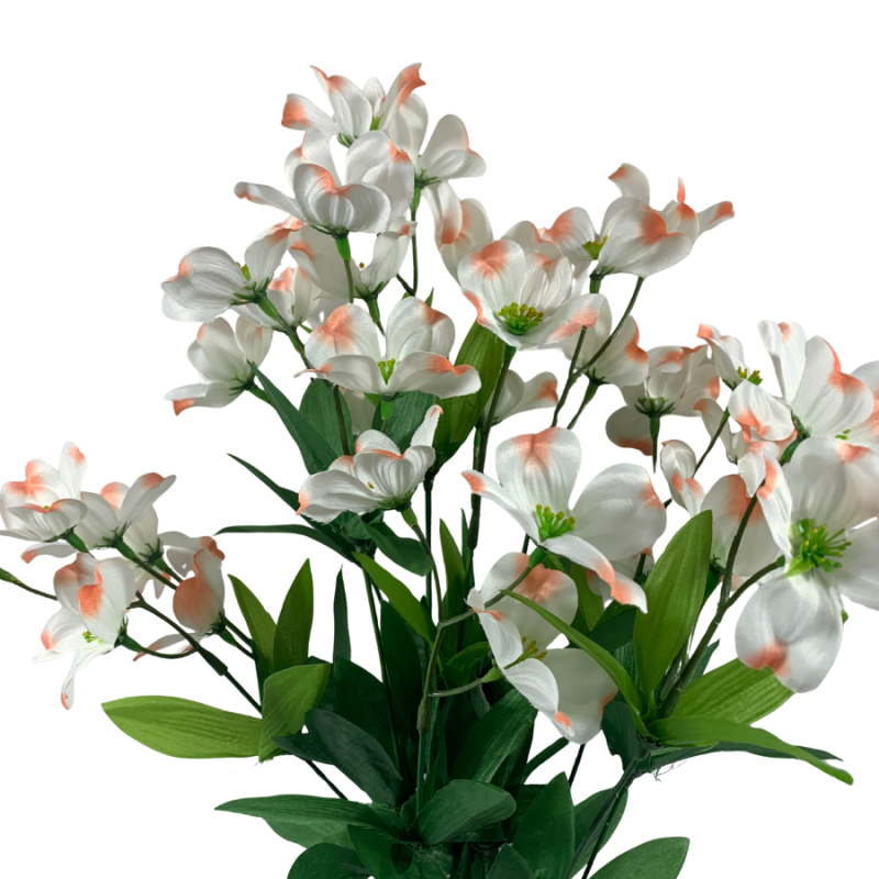 21" Perunian Lily Bush - White/Pink
