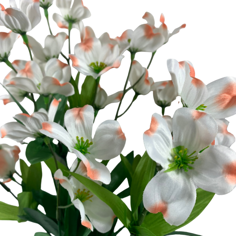 21" Perunian Lily Bush - White/Pink