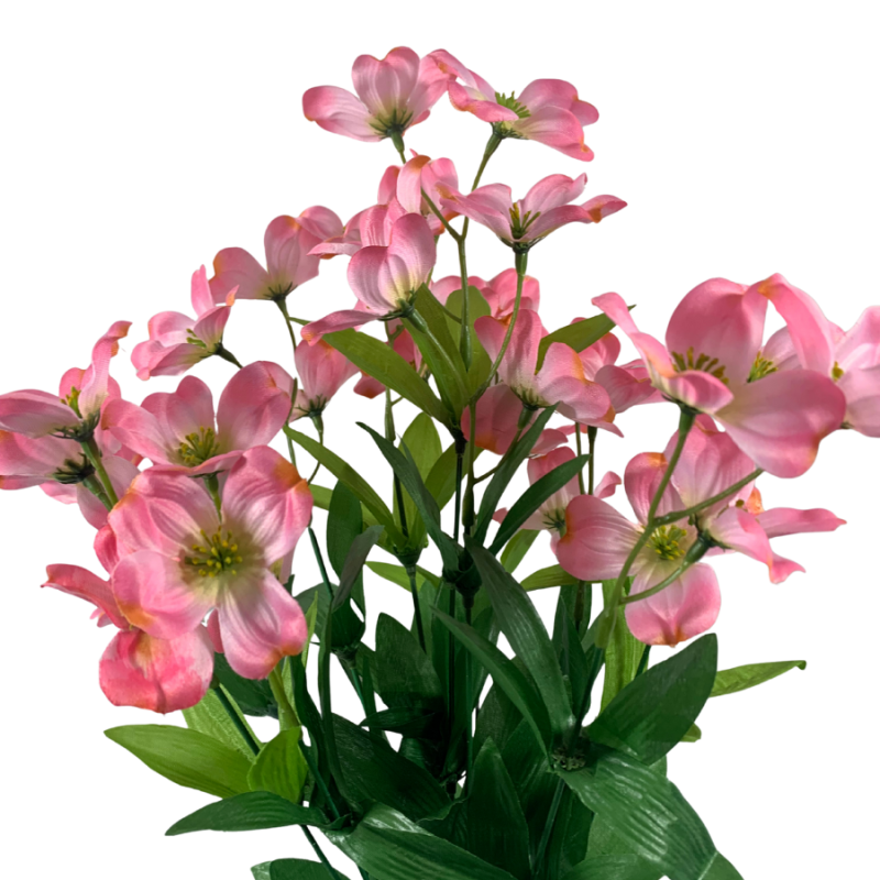 21" Perunian Lily Bush - Pink
