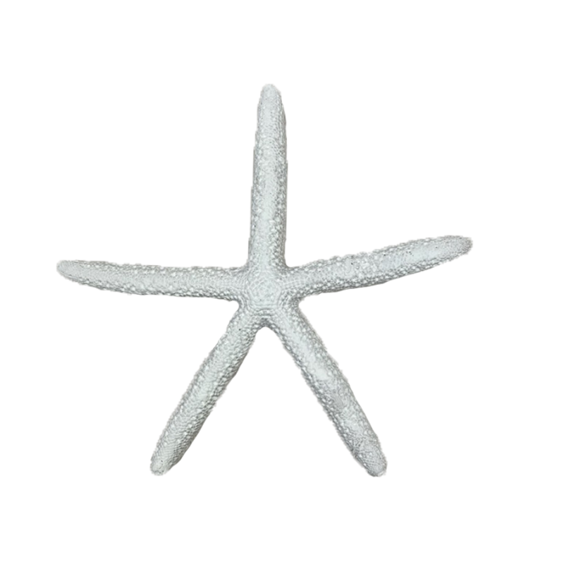 6" Resin Starfish