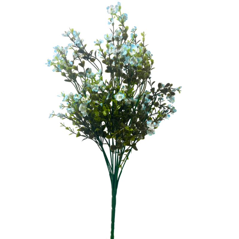 17" Forget Me Not Bush- Blue