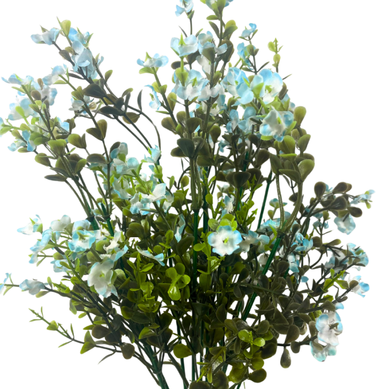 17" Forget Me Not Bush- Blue