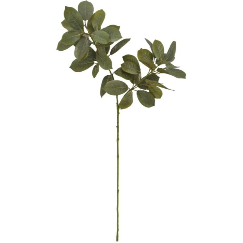 26" Ficus Spray - Green