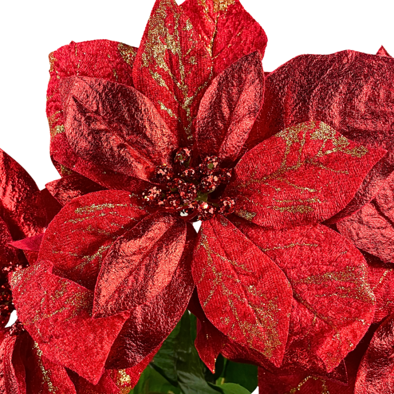 22" Red & Dusted Gold Poinsettia Bush