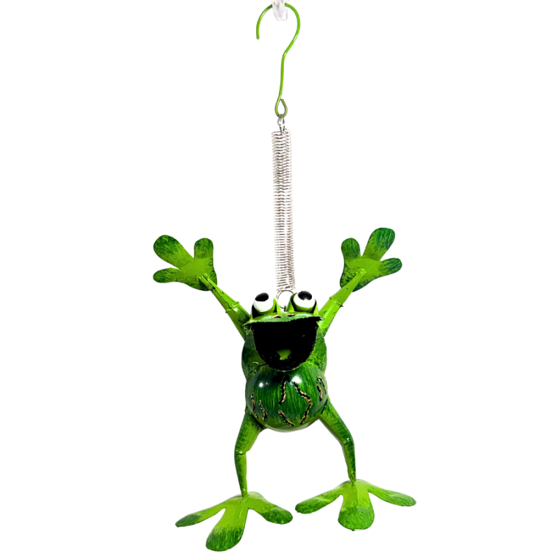 8" Bouncy Frog