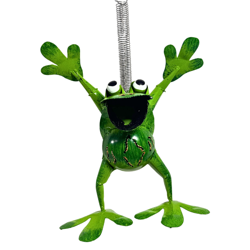 8" Bouncy Frog