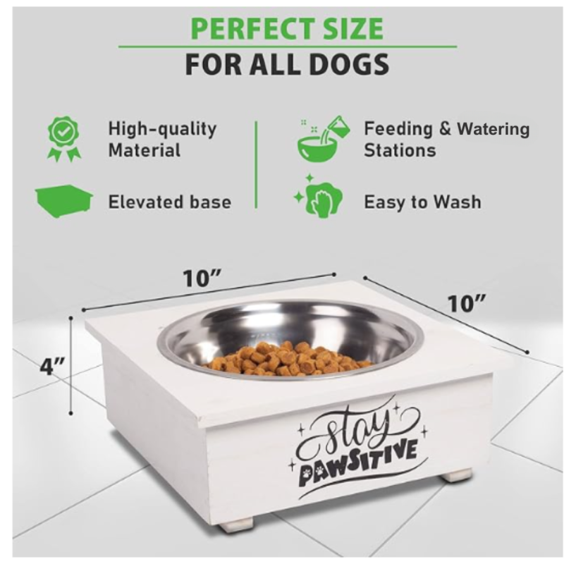 Elevated Dog Feeder-Stay Pawsitive