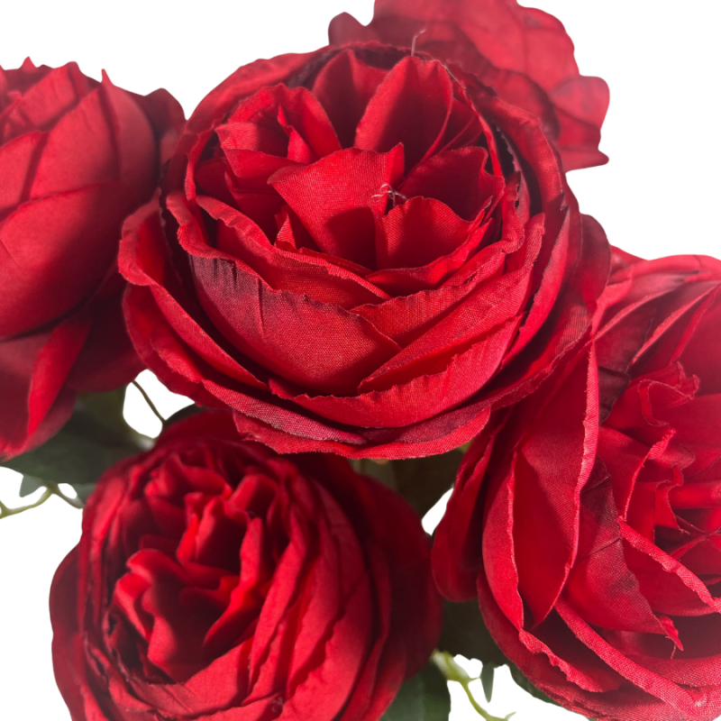 17" Cabbage Rose Bush - Red