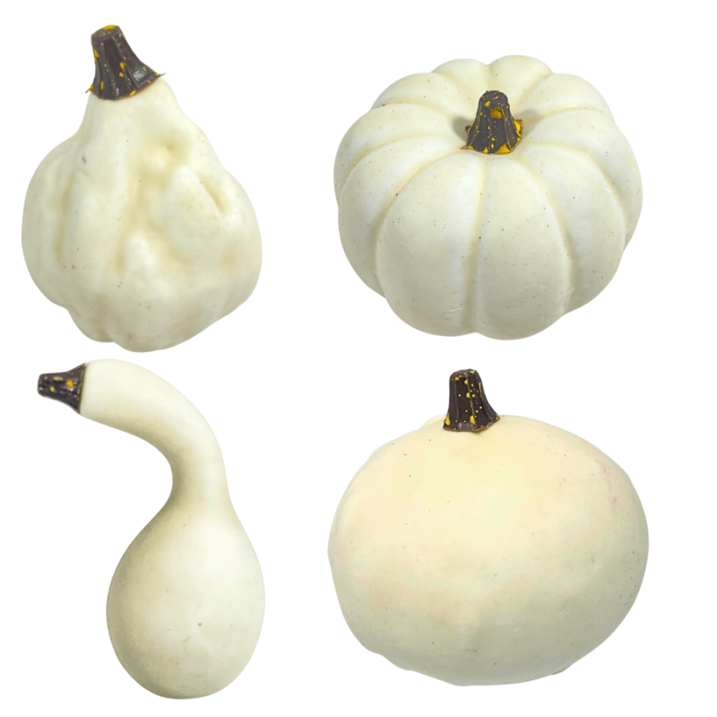 Mixed White Pumpkins Set