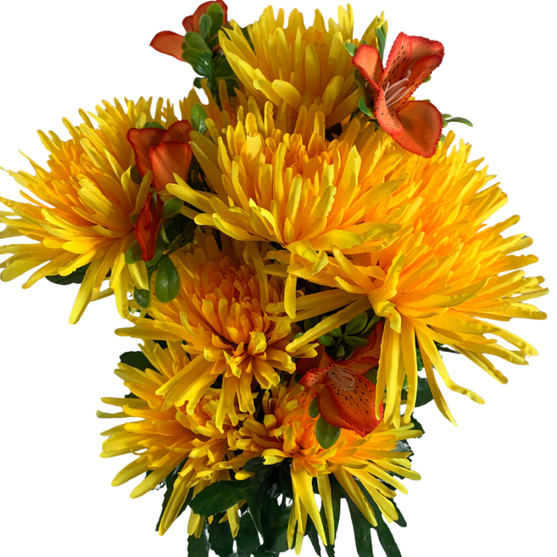 23" Spider Mum Bush