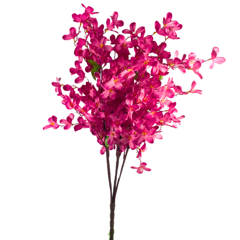 24" Tweedia Bush - Hot Pink