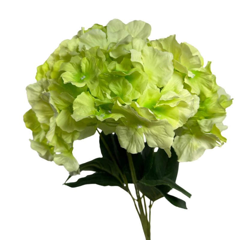 19" Cypress Hydrangea Bush