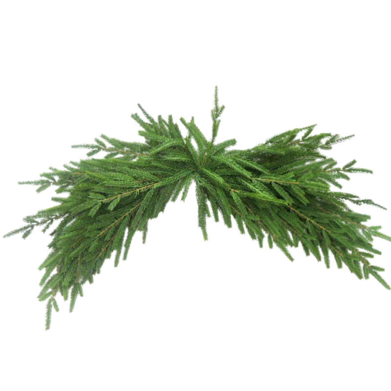 32" x 12.5" Artificial Norfolk Pine Swag