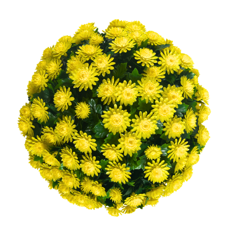 12" UV Mum Topiary Ball - Yellow