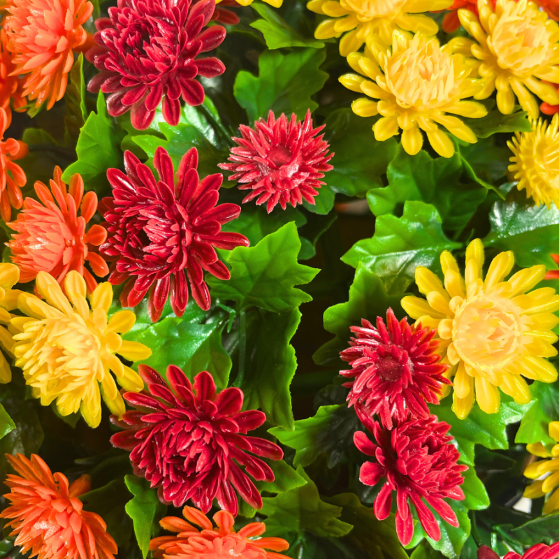 14" UV Mum Hanging Basket - Burgundy/ Orange/ Yellow