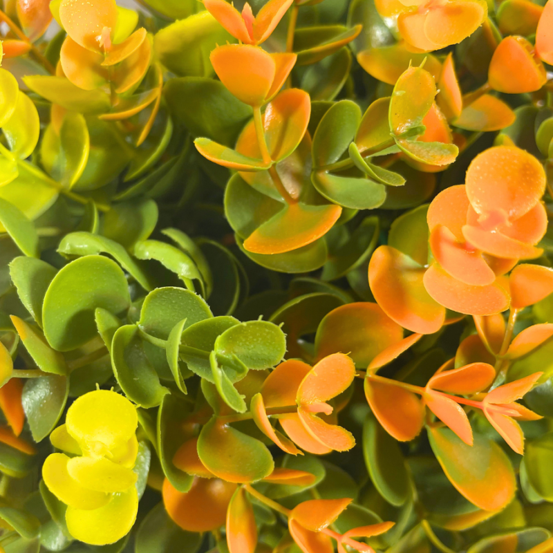 11.5" UV Eucalyptus Topiary Ball - Orange