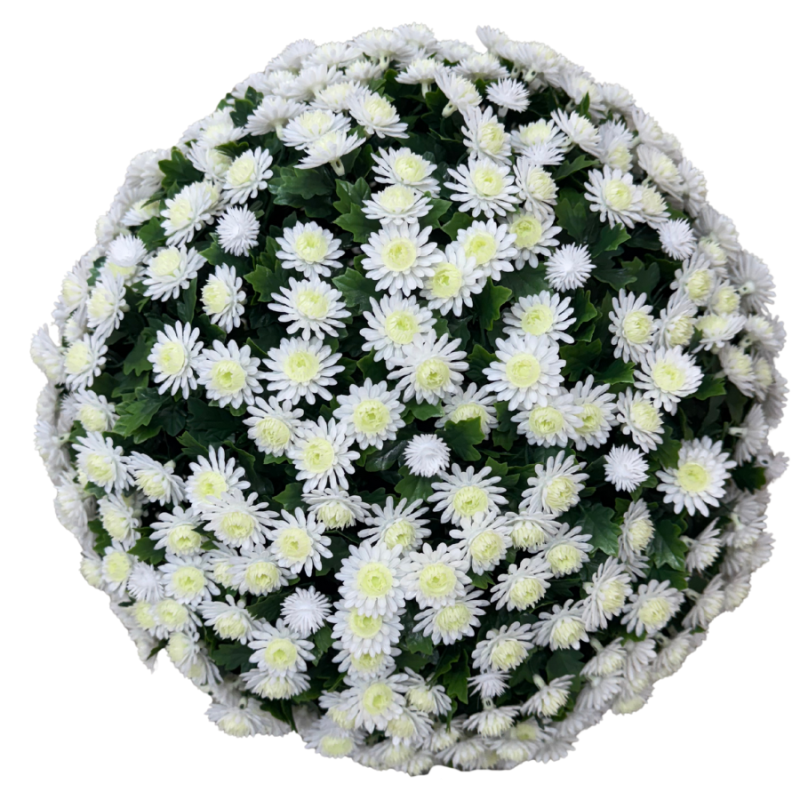 16" UV Mum Topiary Ball - Cream