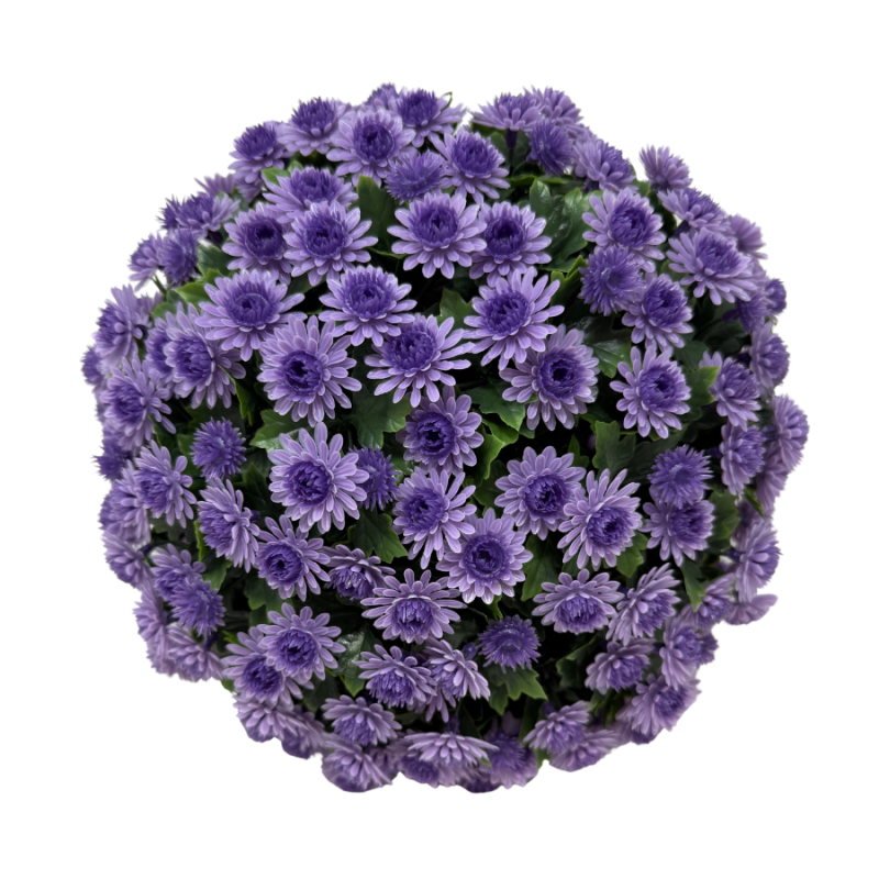12" UV Lavender Topiary Mum Balls