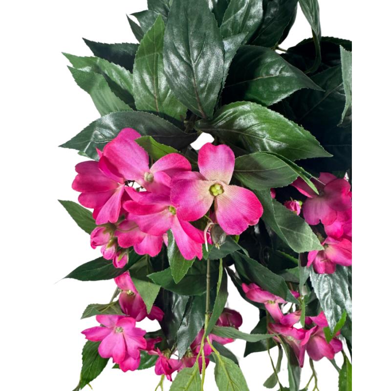 25" Impatiens Hanging Bush