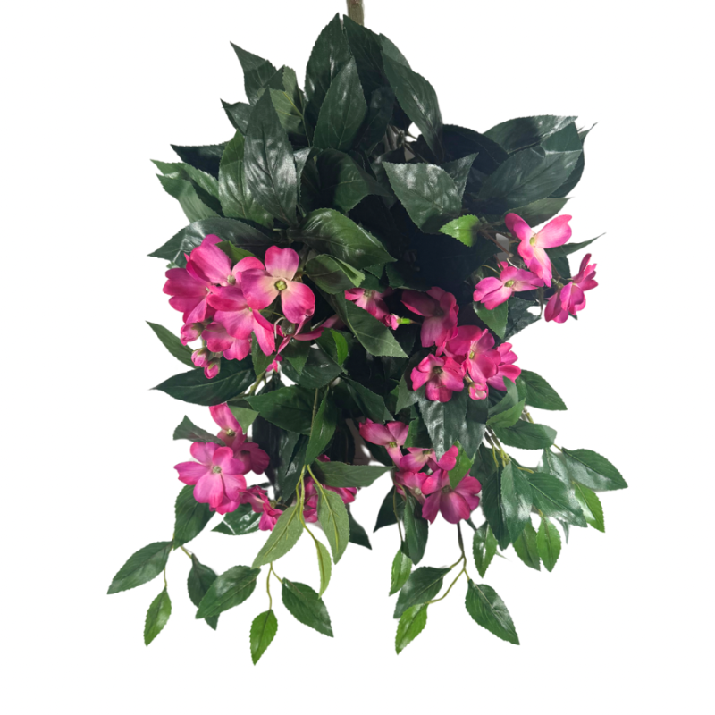 25" Impatiens Hanging Bush