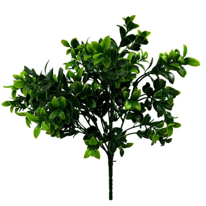 15" Boxwood Bush