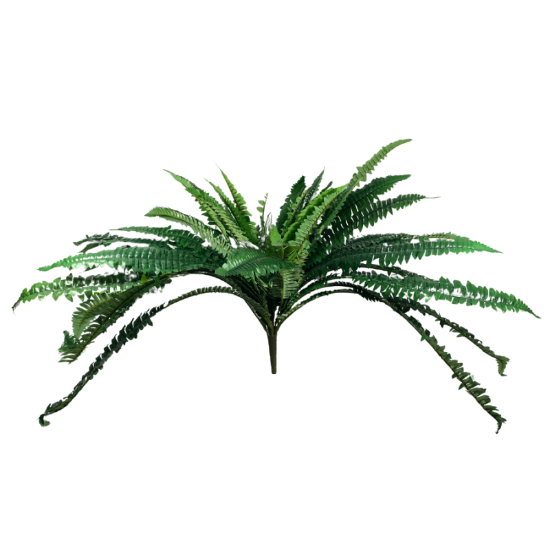 45" Boston Fern Bush