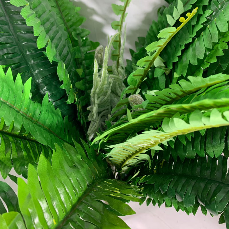 45" Boston Fern Bush