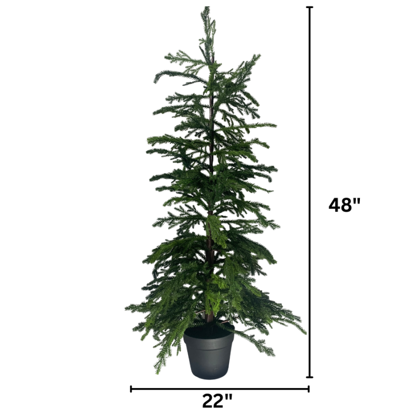 48" Norfolk Green Pine Tree In Pot Set