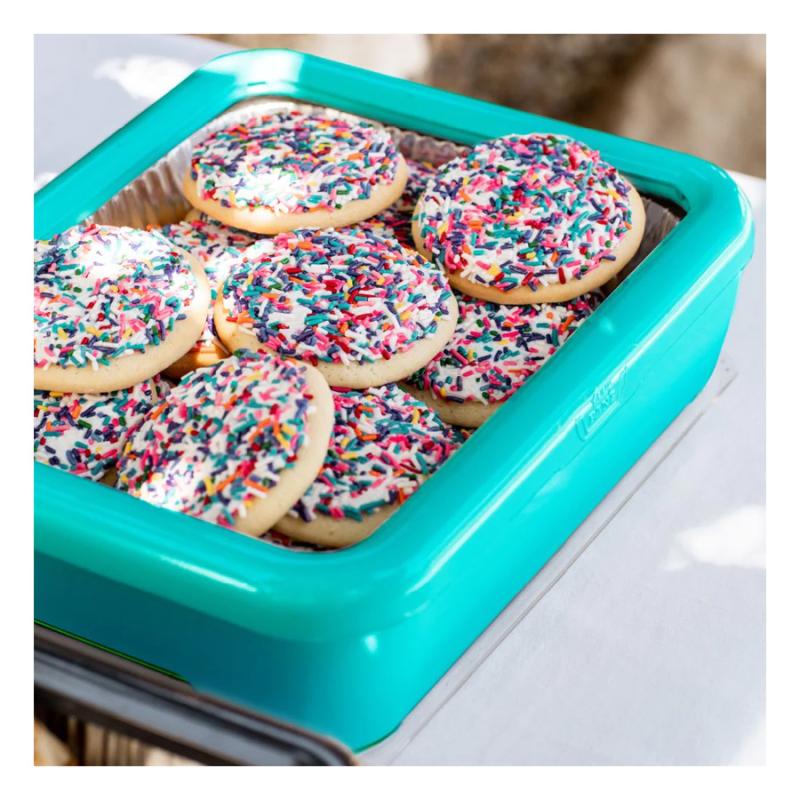 Fancy Panz- Classic Aqua