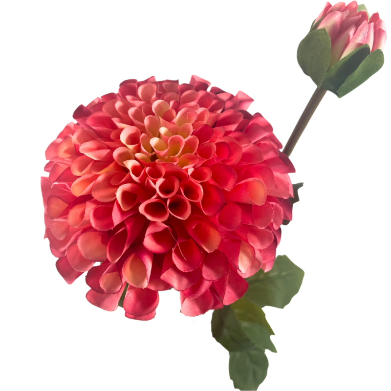 31" Dahlia Spray - Magenta