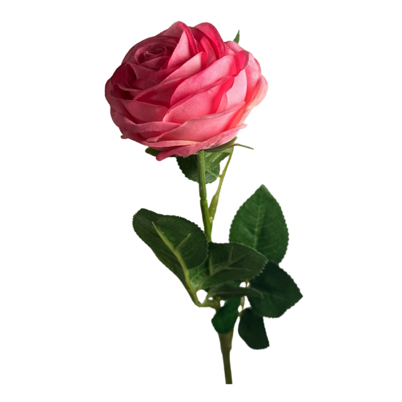 20.5" Single Rose- Pink