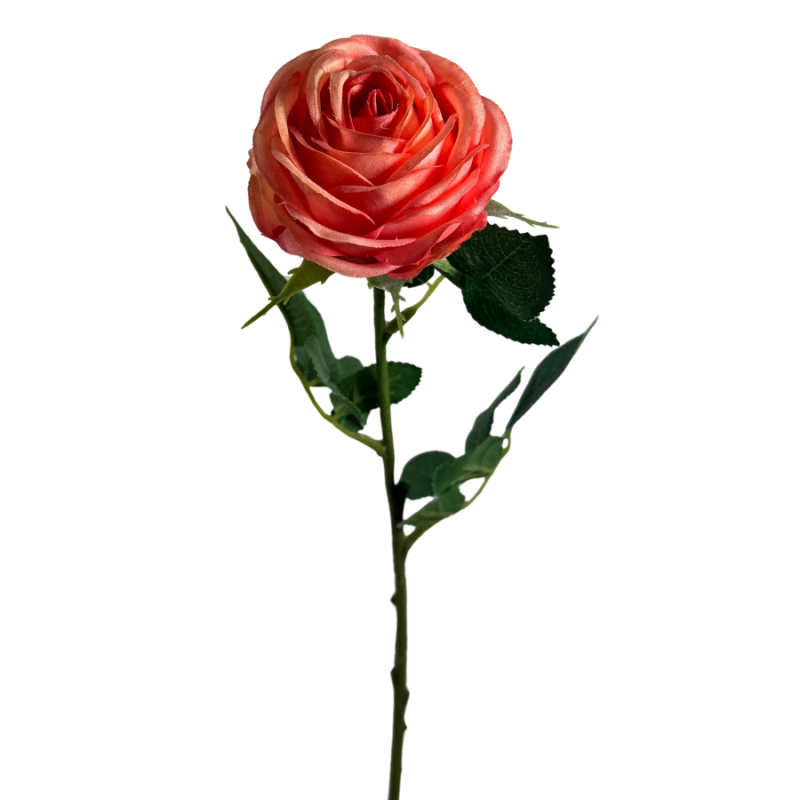20.5" Single Rose- Coral
