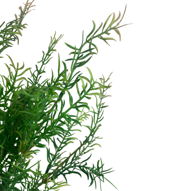 21" Rosemary Pick